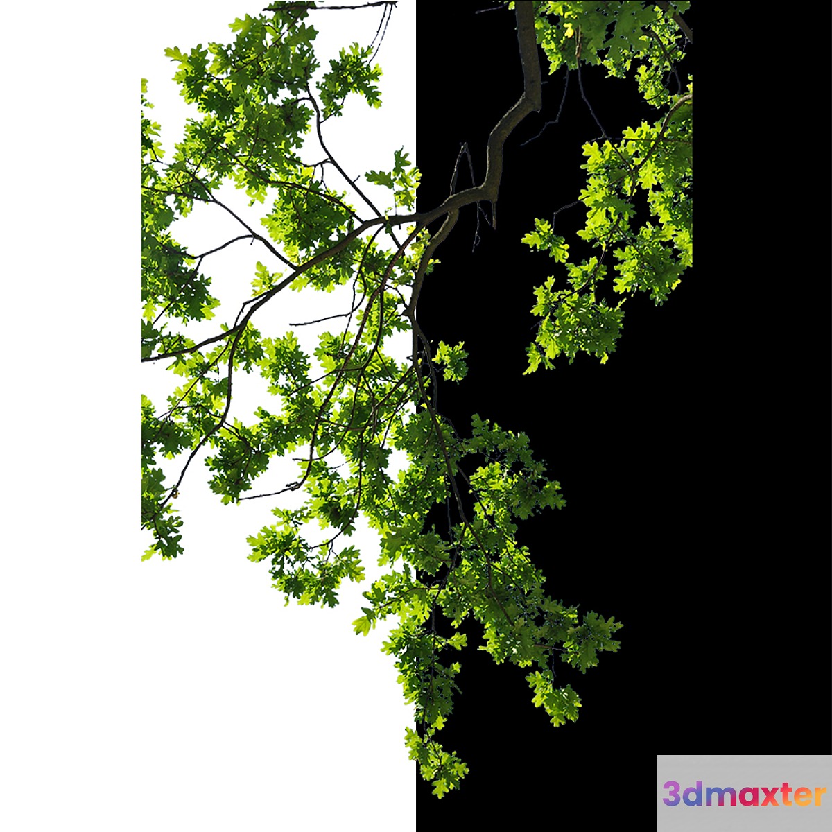 Cut out trees 3D Max