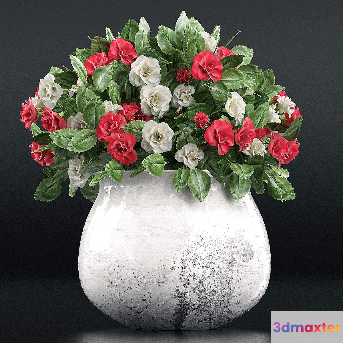 Flowers in a Vase 3