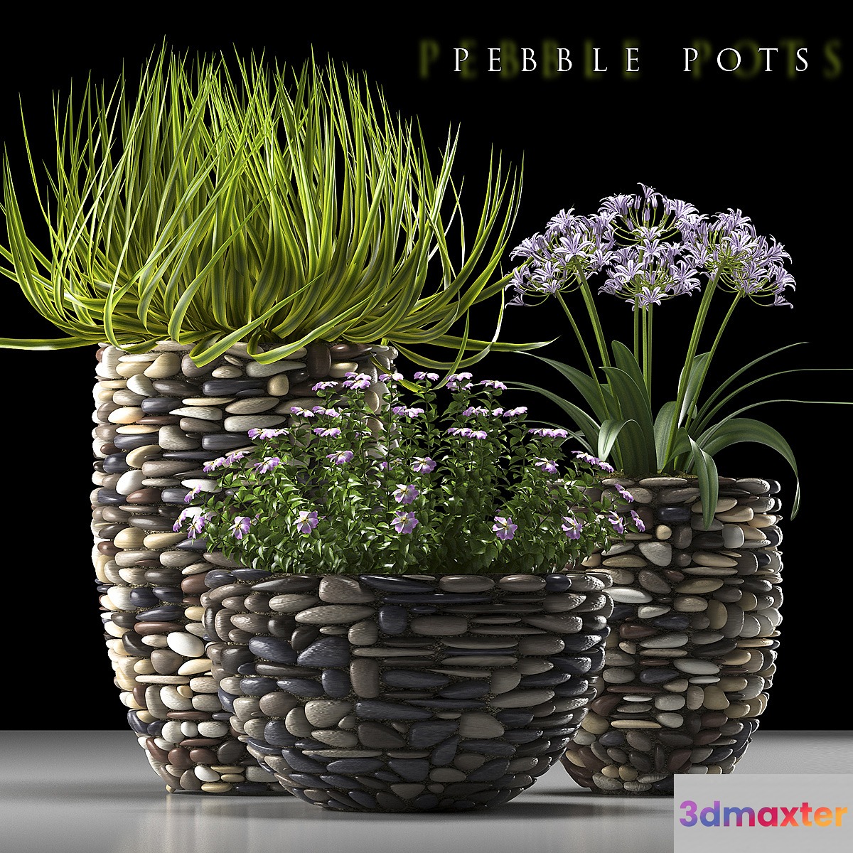 PLANTS 57