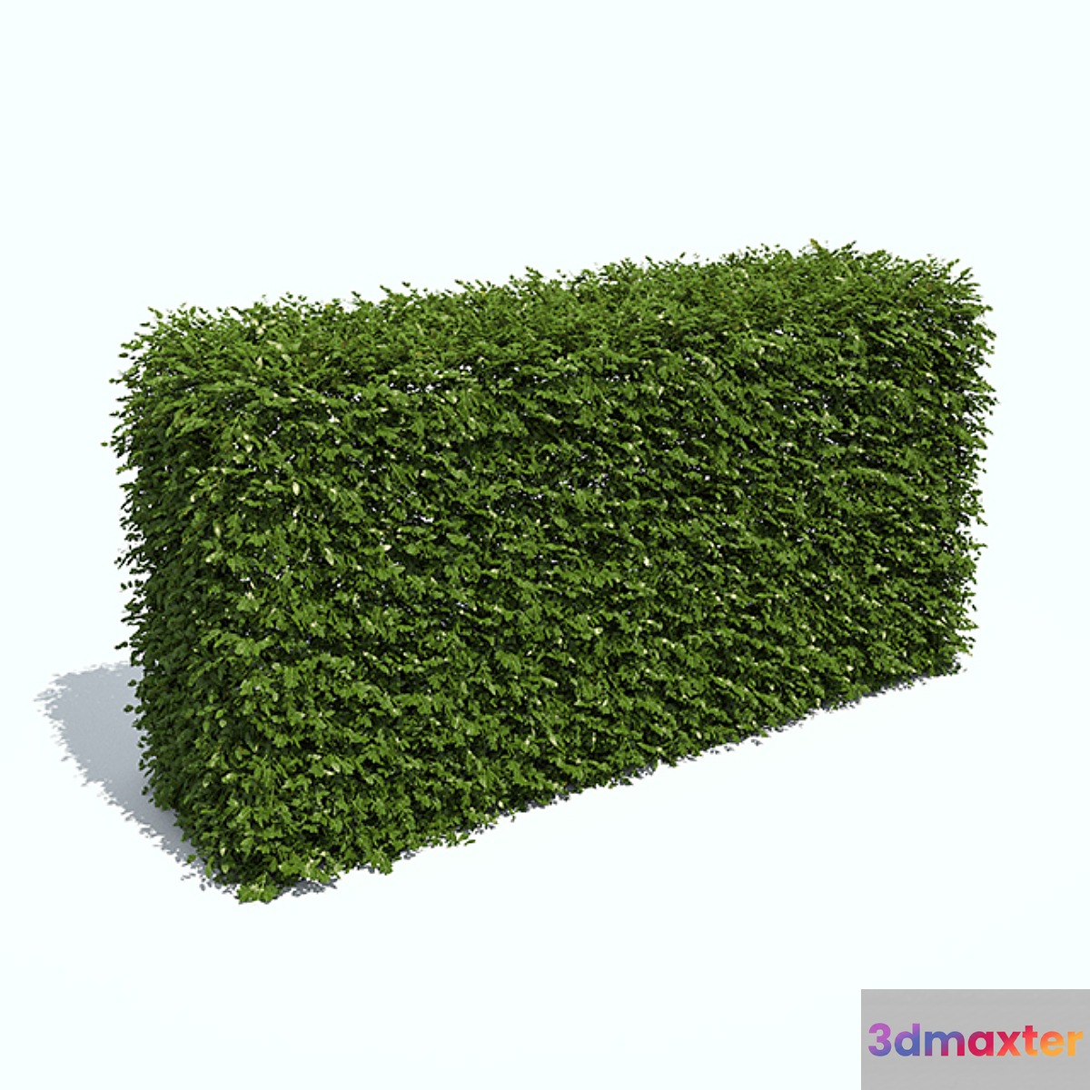 Regular hedges