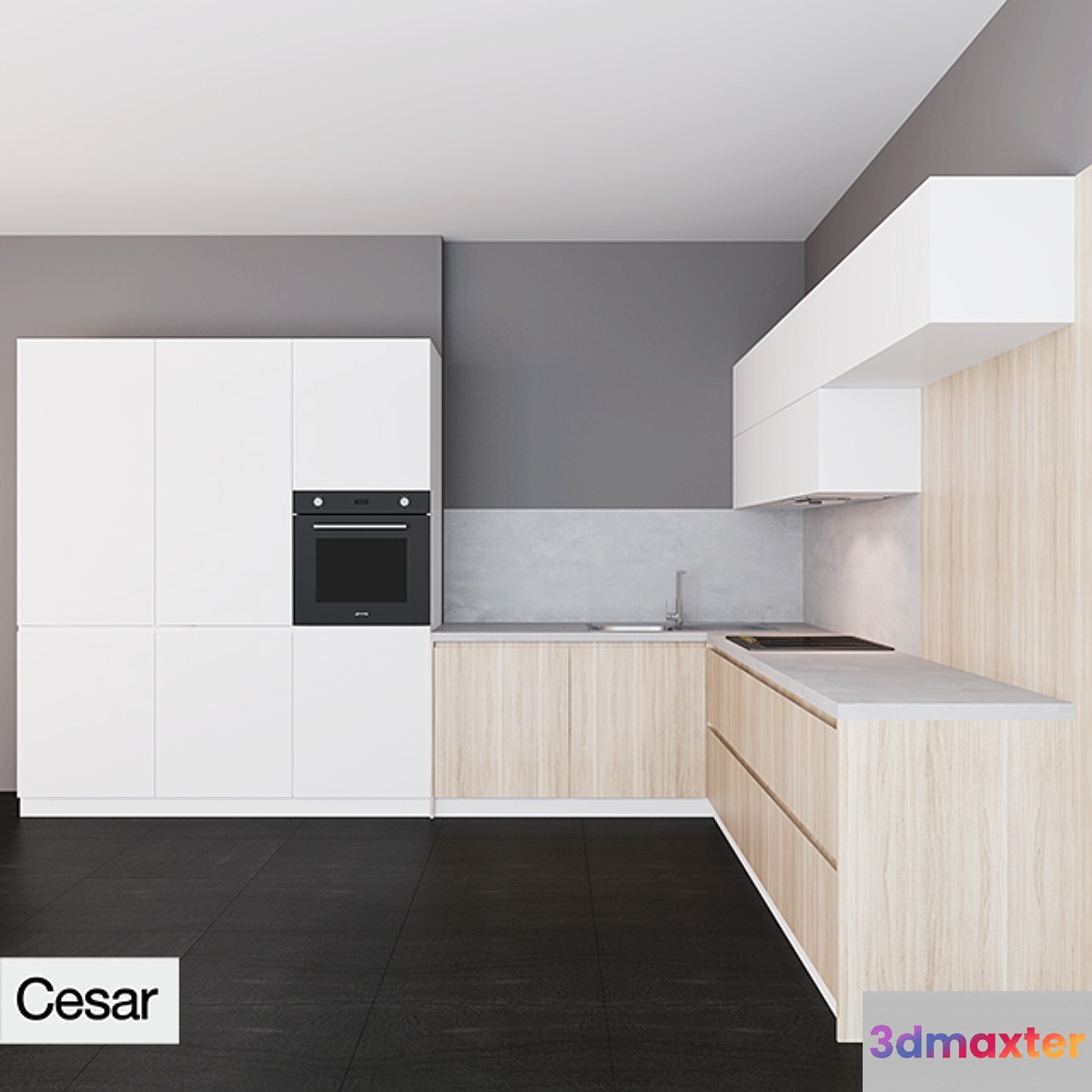 Cesar Maxima 2.2 zahvat hook