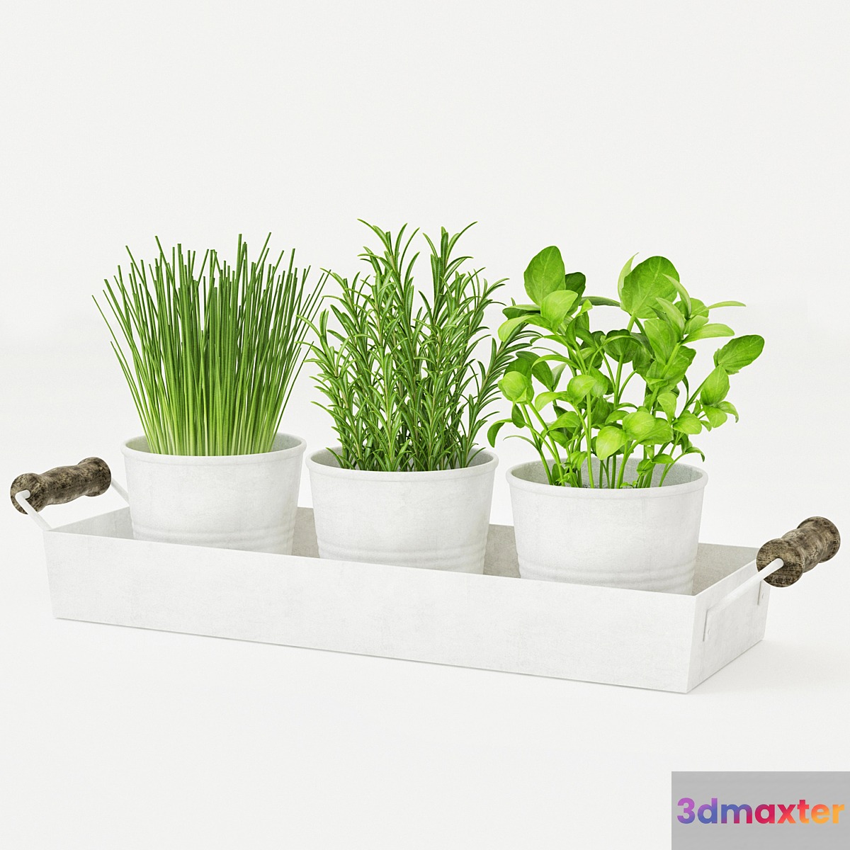 Pots of herbs