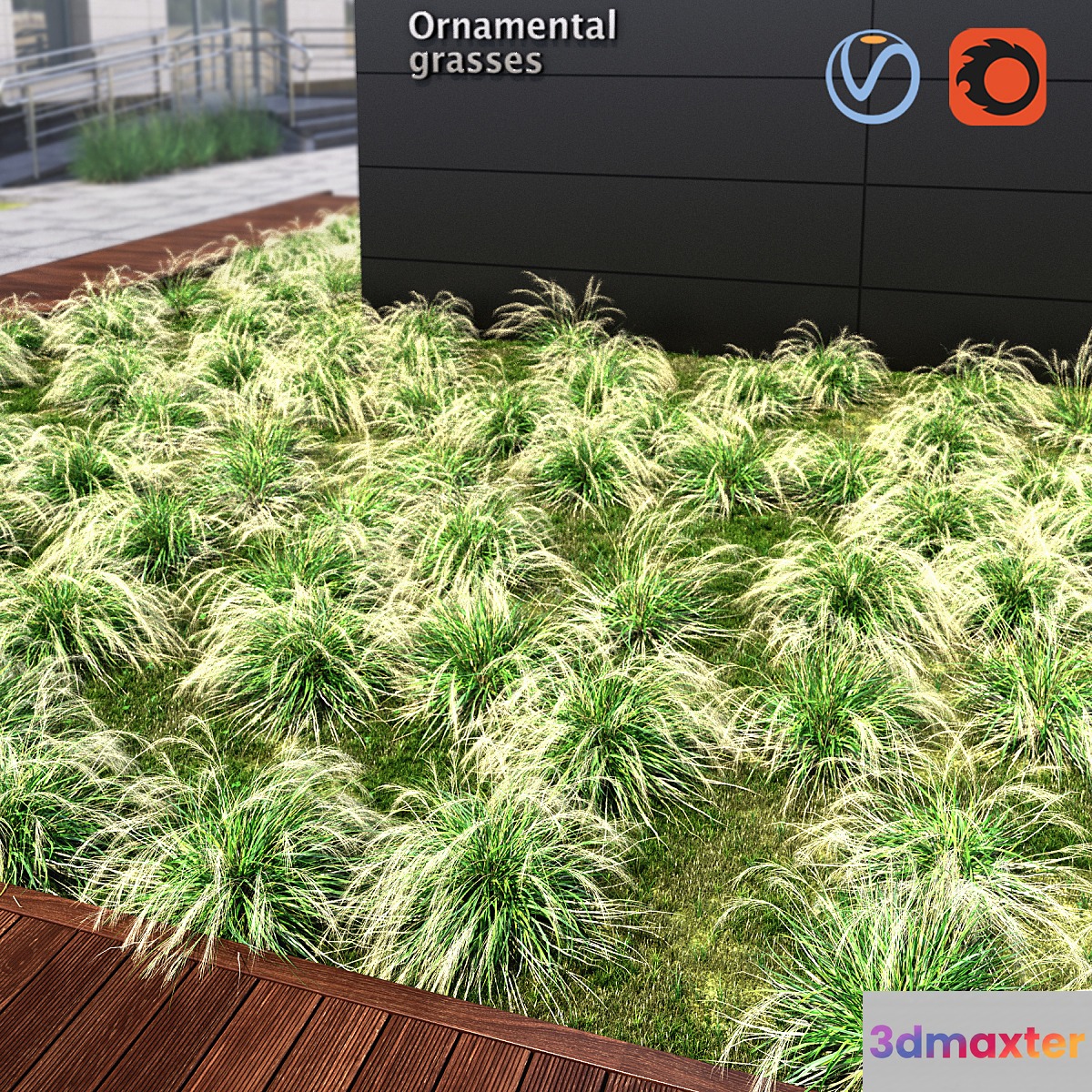 Ornamental grass 3D Max