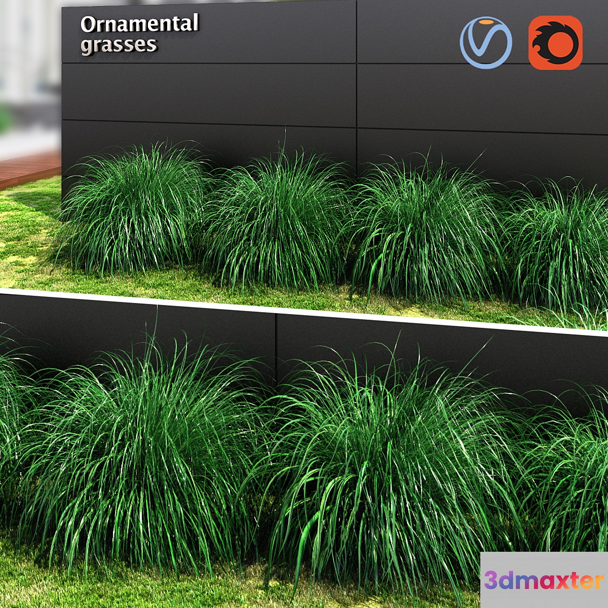 Ornamental grass ball 3D Max