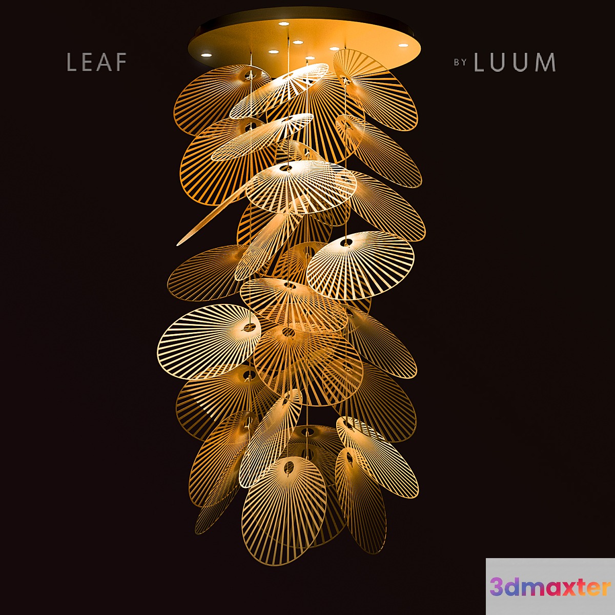 Leaf 3D Max