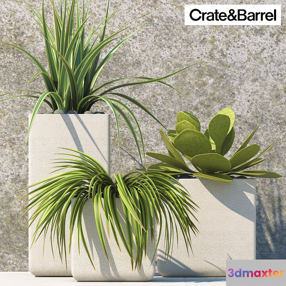 PLANTS 60