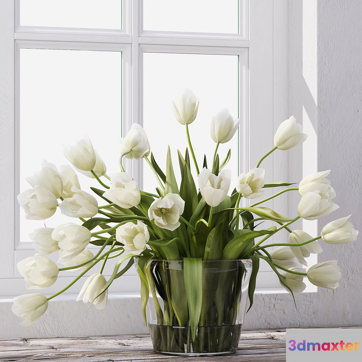 Tulips - No.16