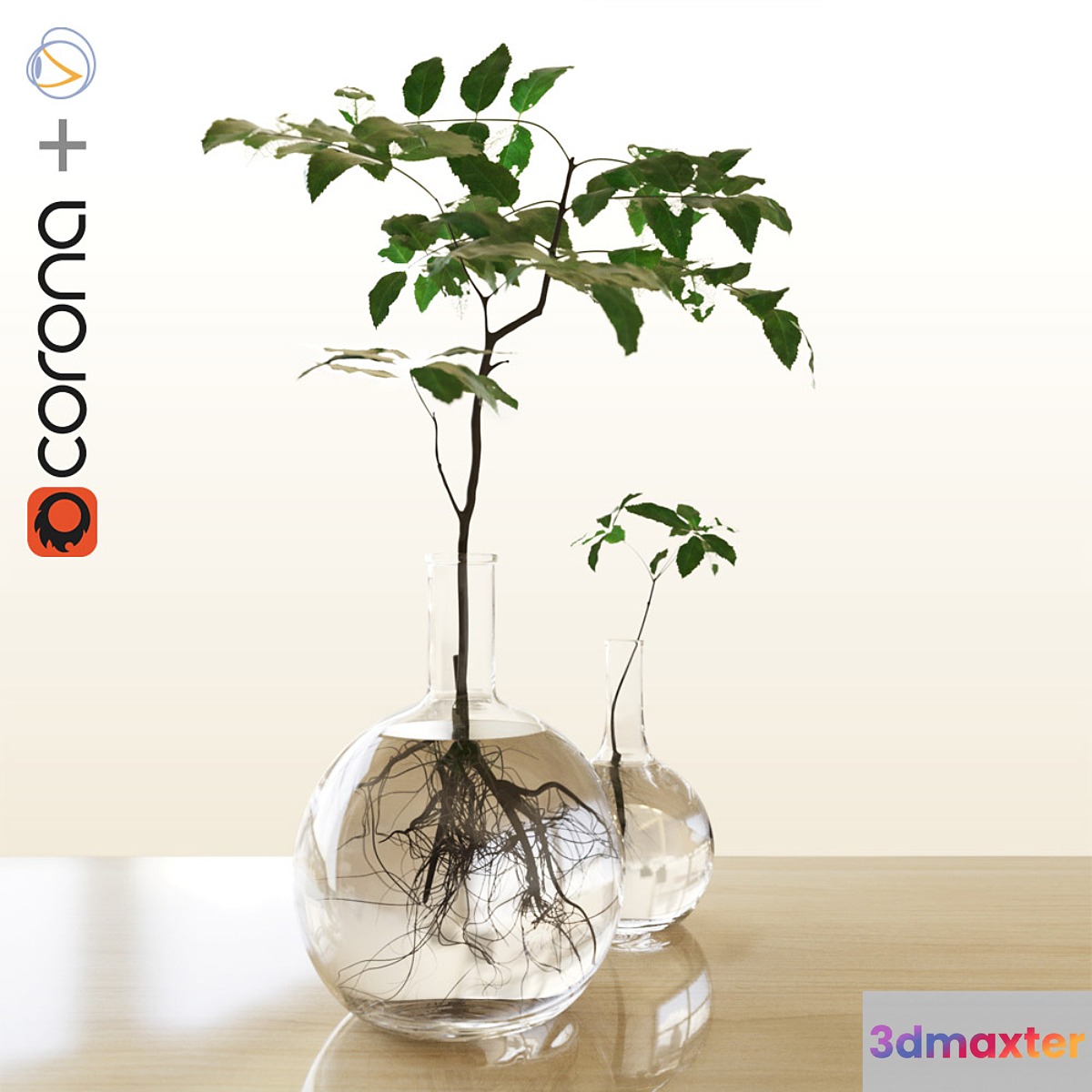Plants in the flask - No.2