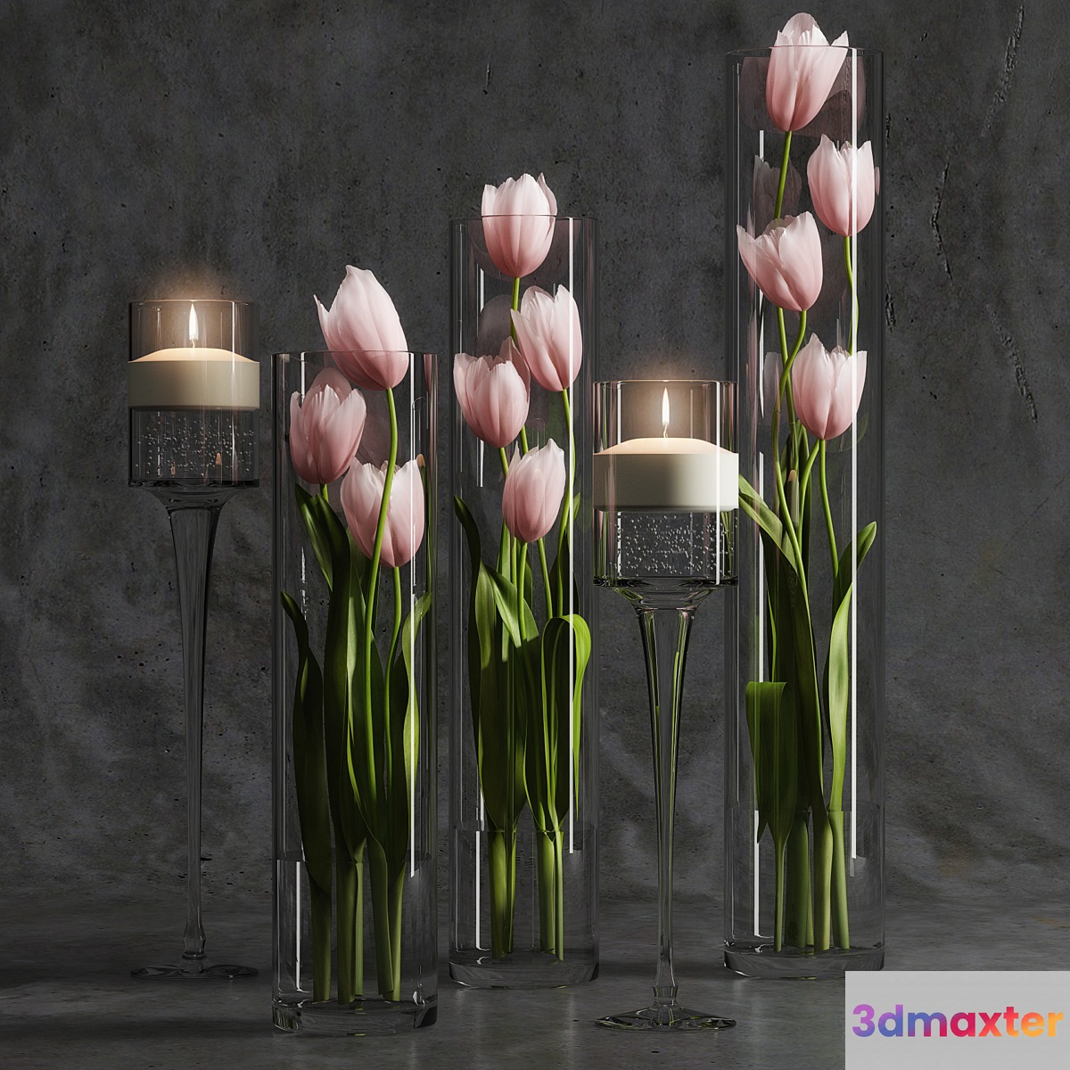 Tulips 2