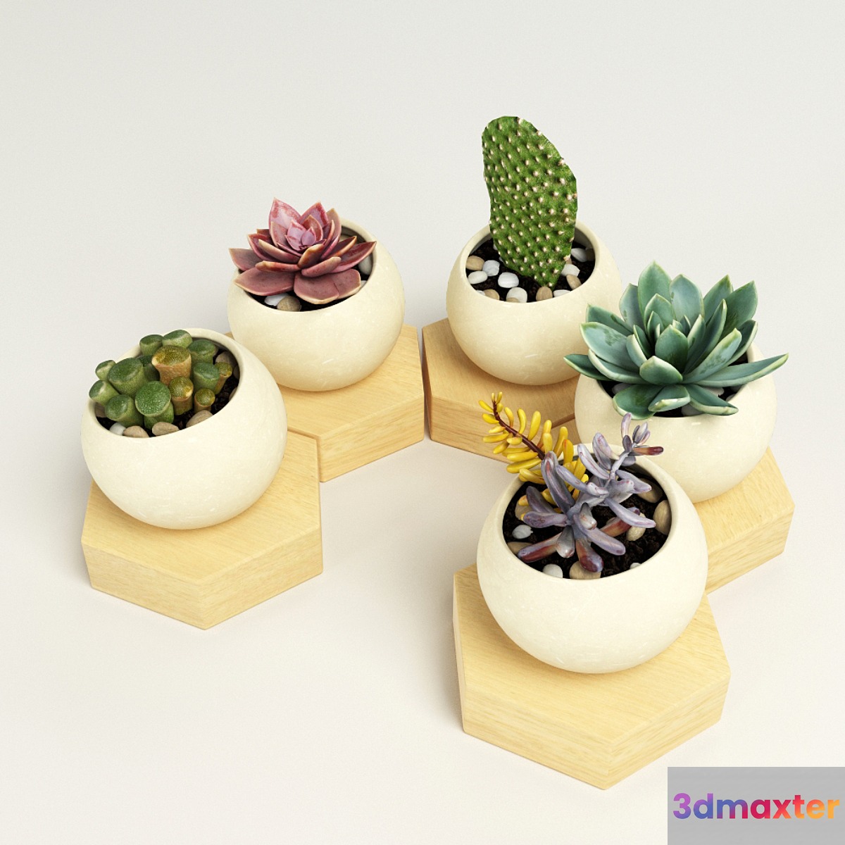 color set 2