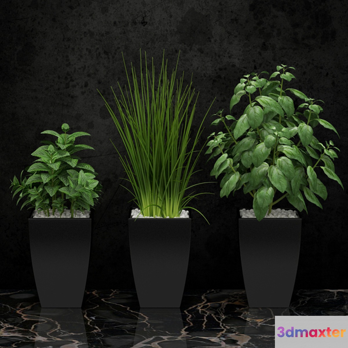 Plants for the kitchen - No.4