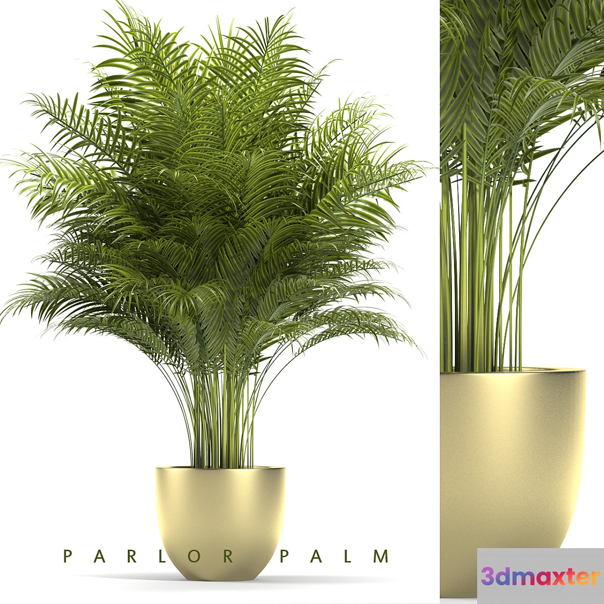 PLANTS 67 - No.2