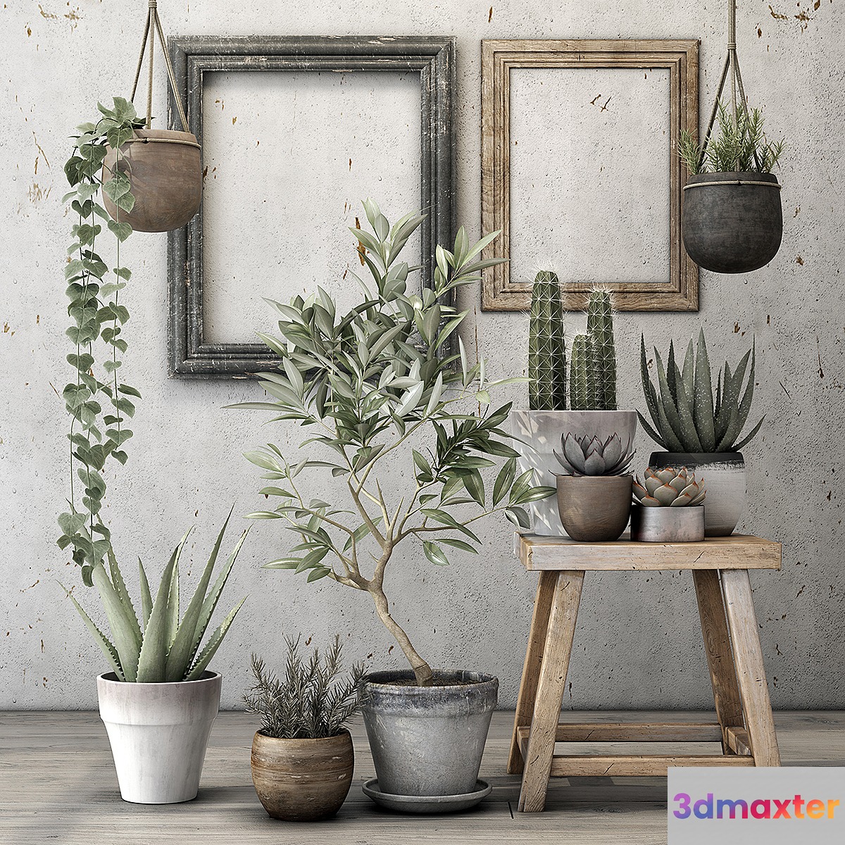 Decorative plant set - No.2