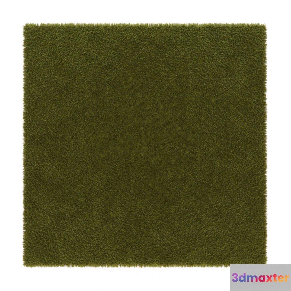 Carpet green hair