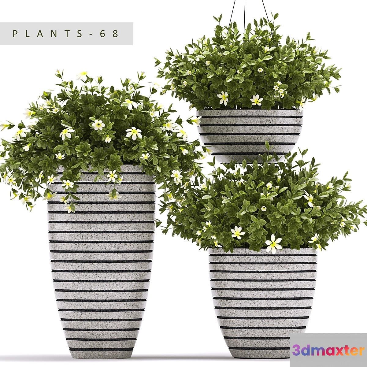 PLANTS 68