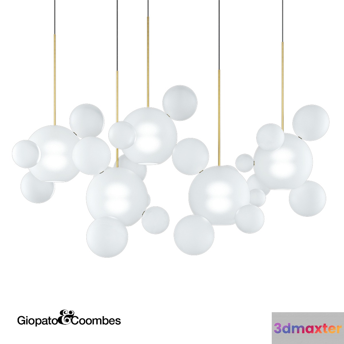 Giopato & Coombes Bolle