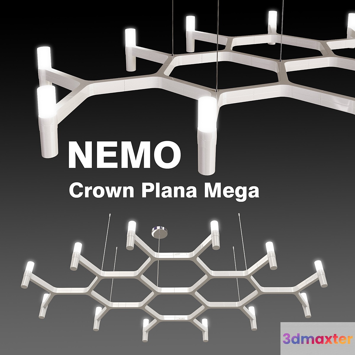 Crown Plana Mega from the company NEMO - No.3