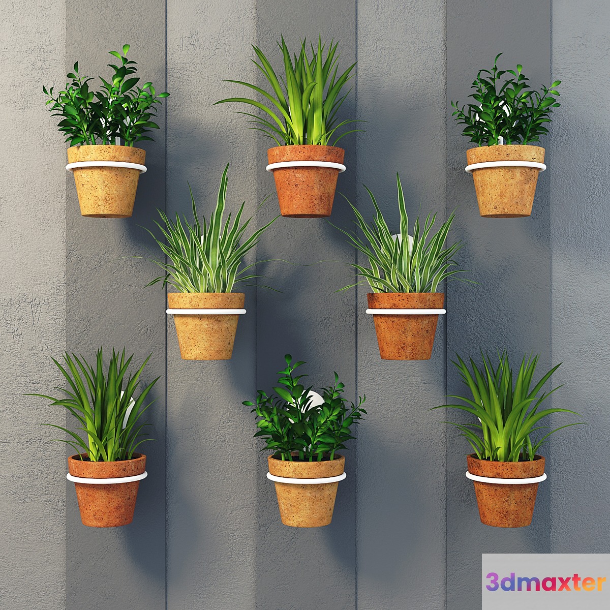 Clay pots with herbs on the wall