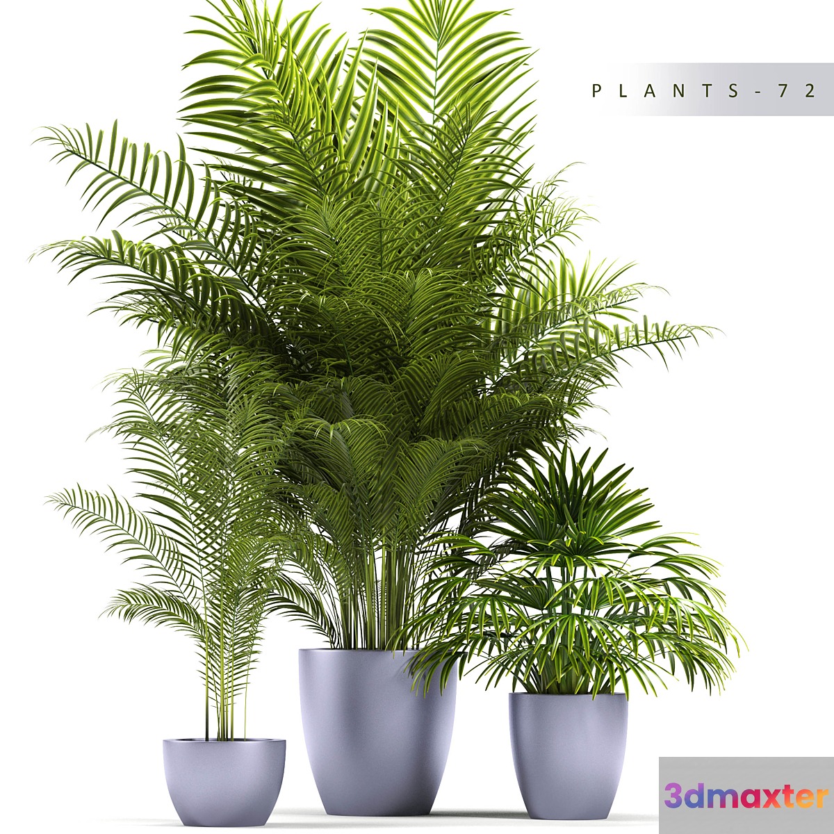 PLANTS 72