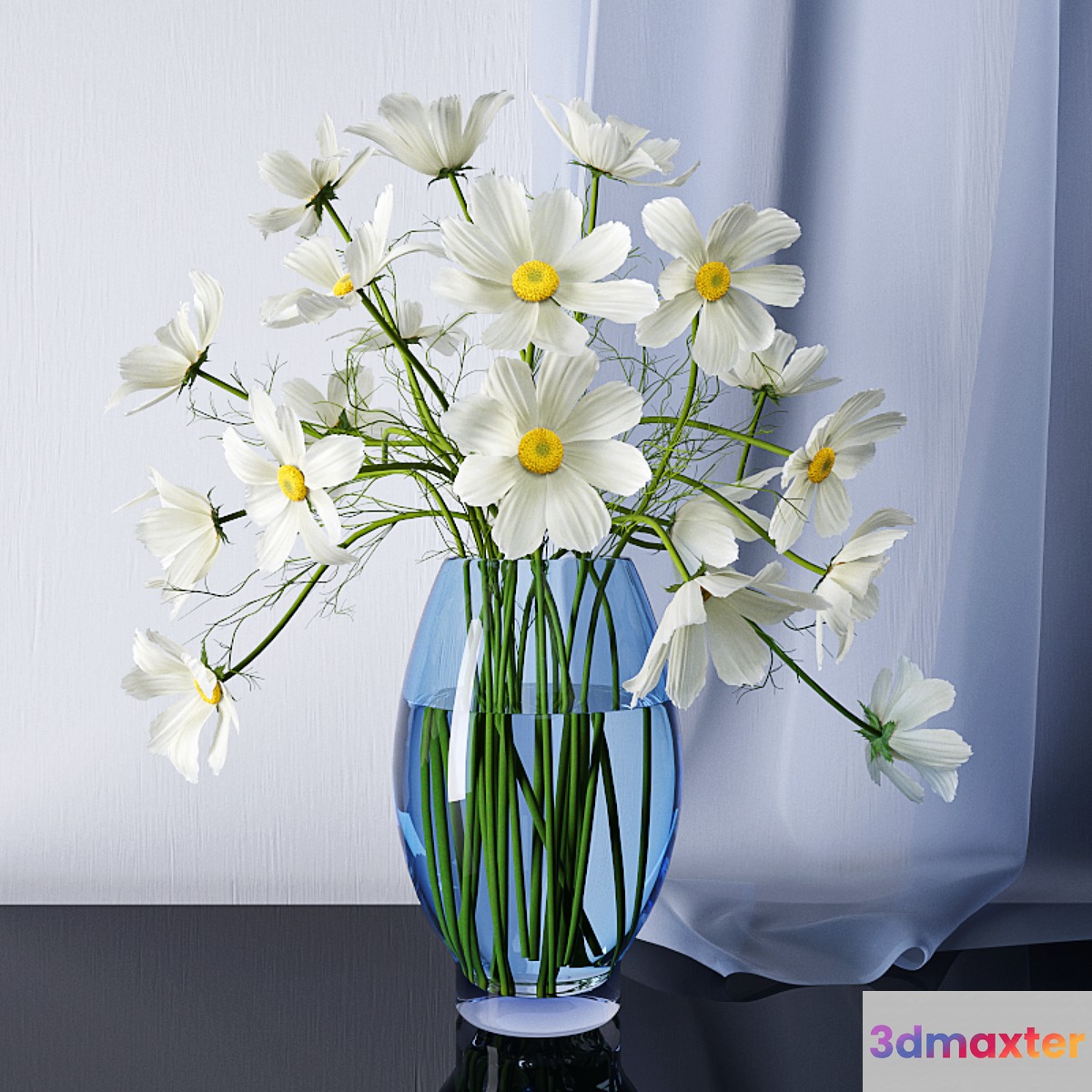 Chamomile - No.3