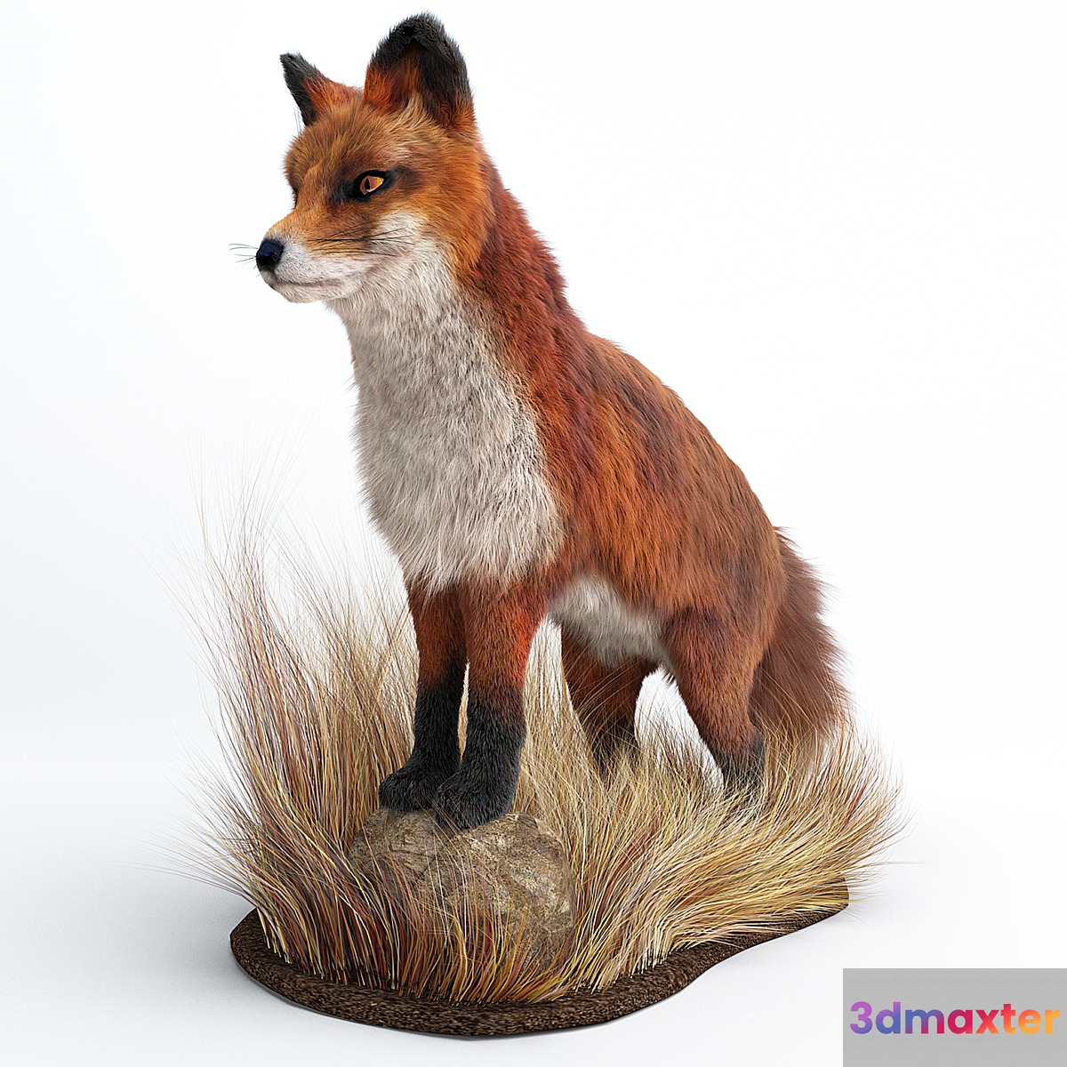 A Fox 3D Max