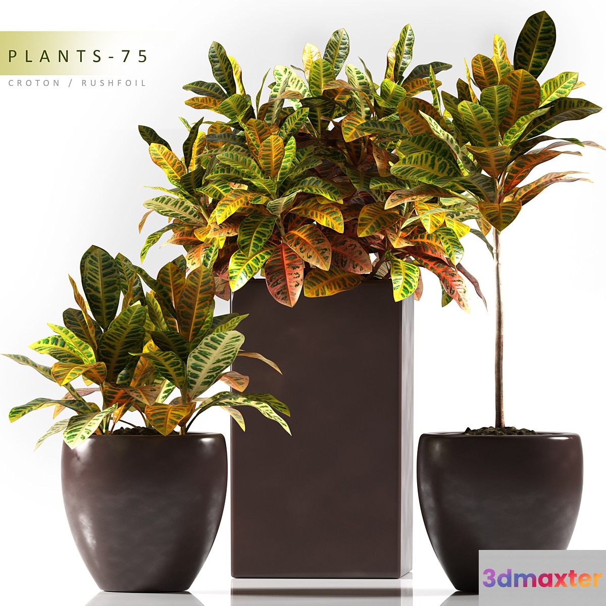 PLANTS 75 3D Max