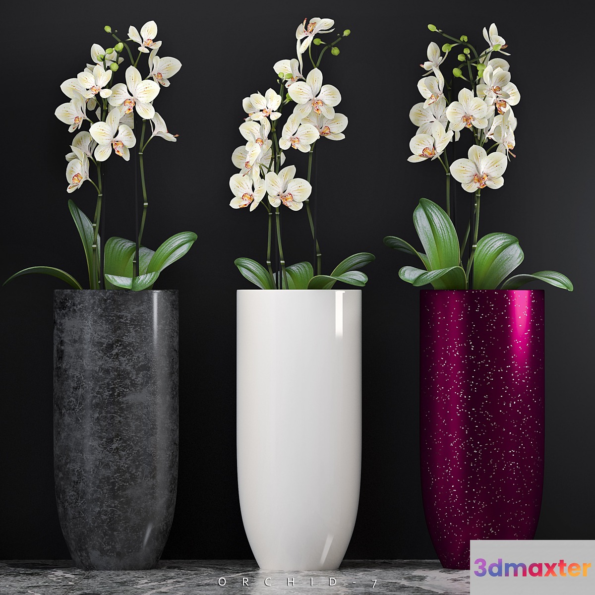 ORCHID 7 3D Max