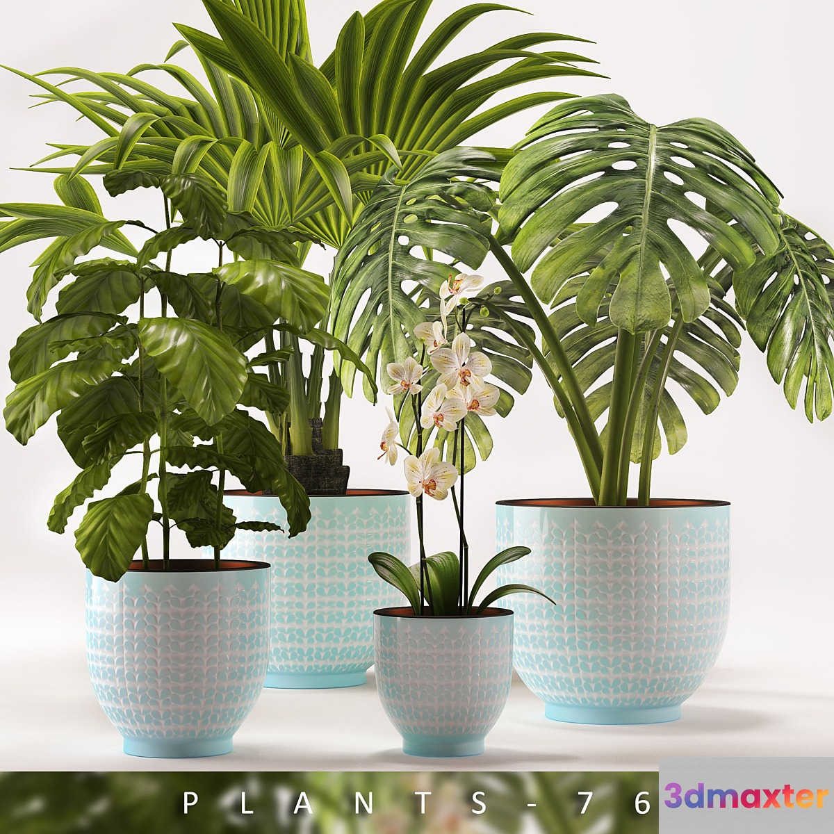 PLANTS 76 3D Max
