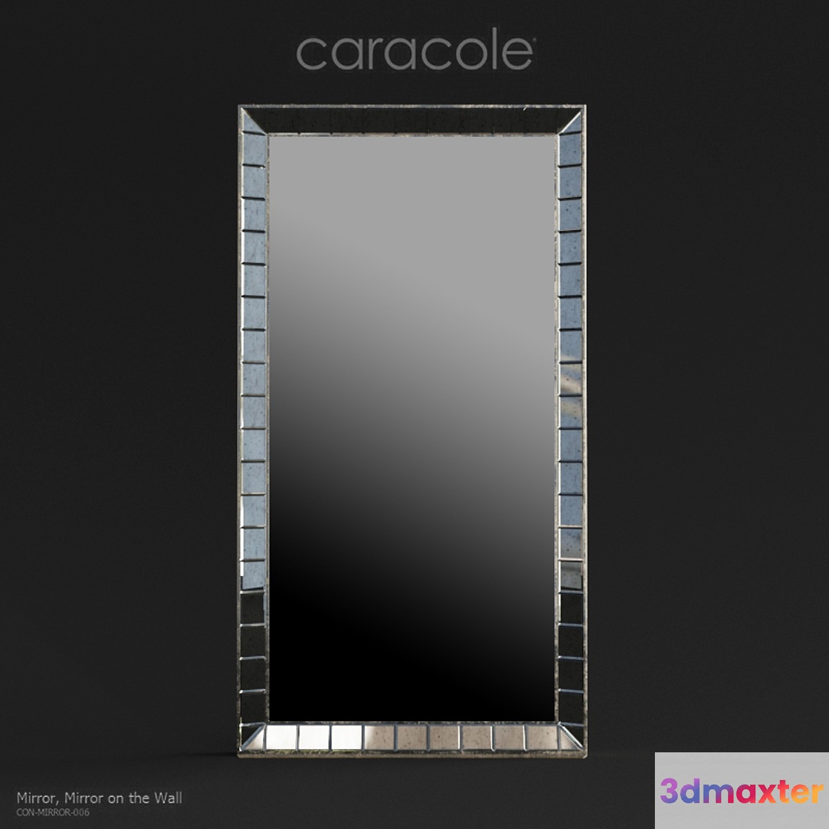 Caracole Classic Mirror on the Wall - No.2
