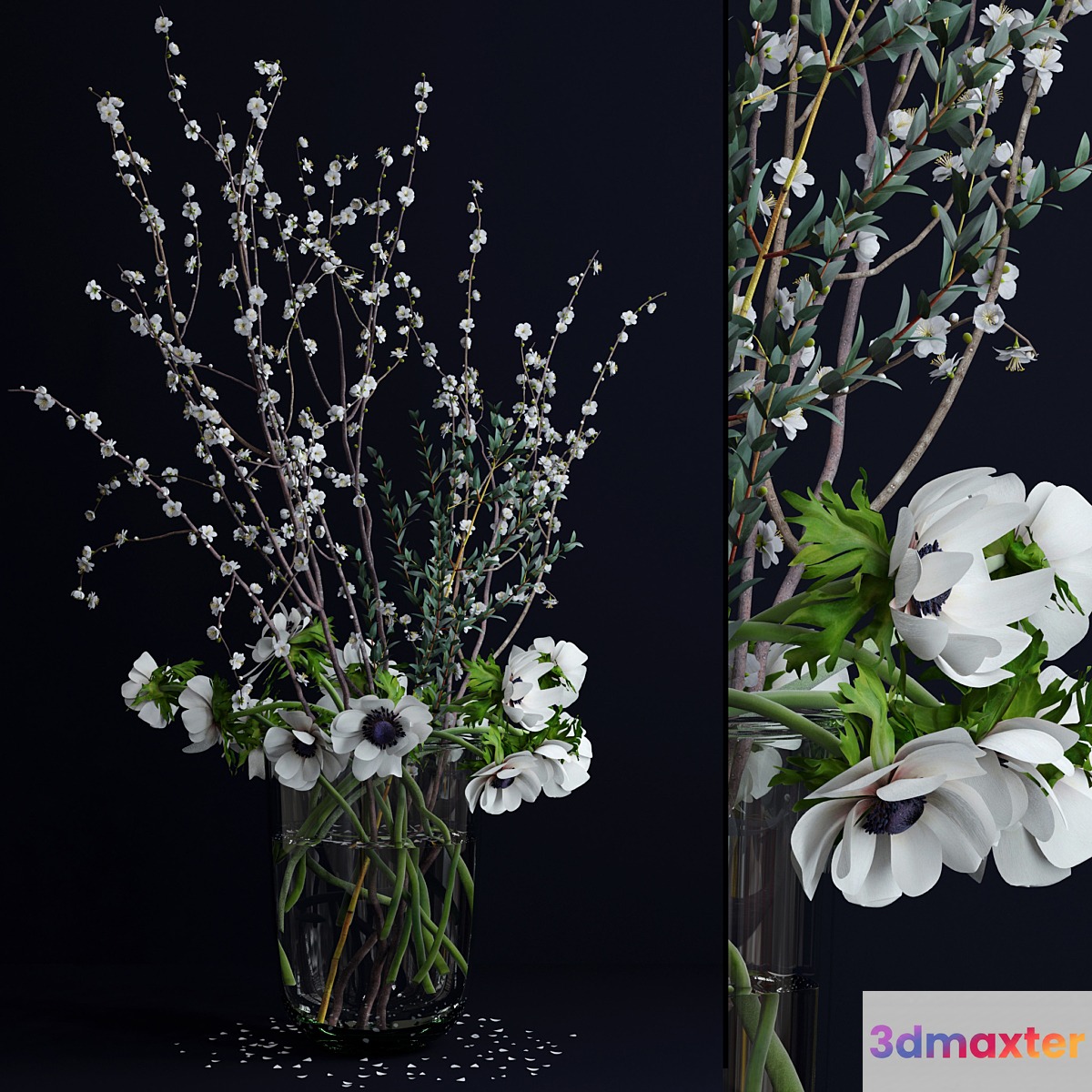 Anemones and branches