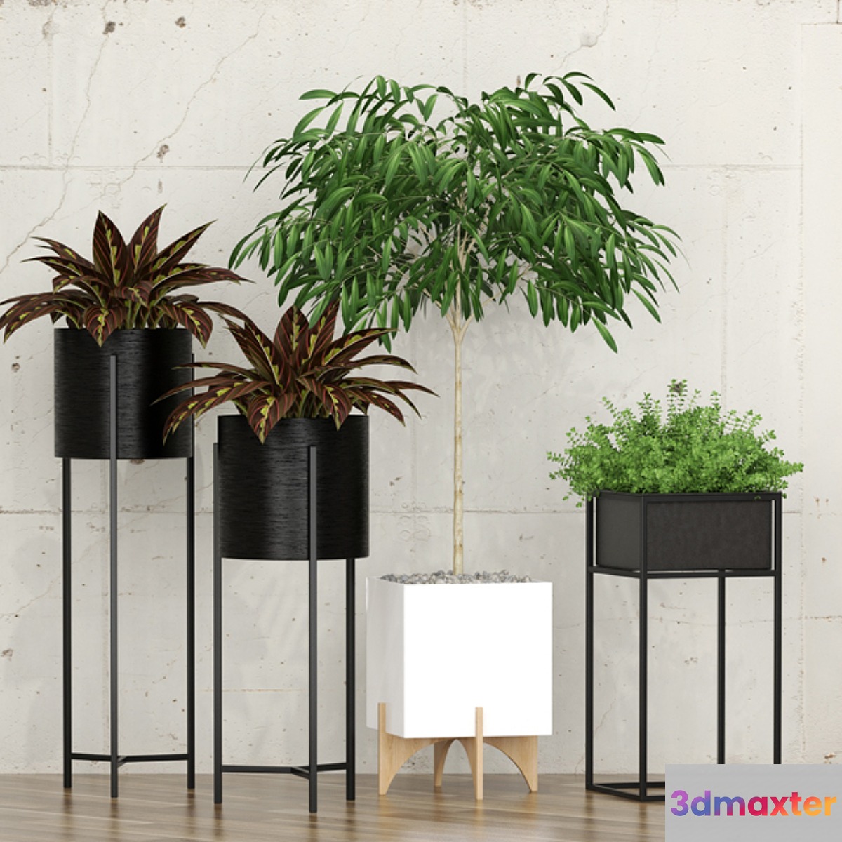 Potted plants 10 3D Max