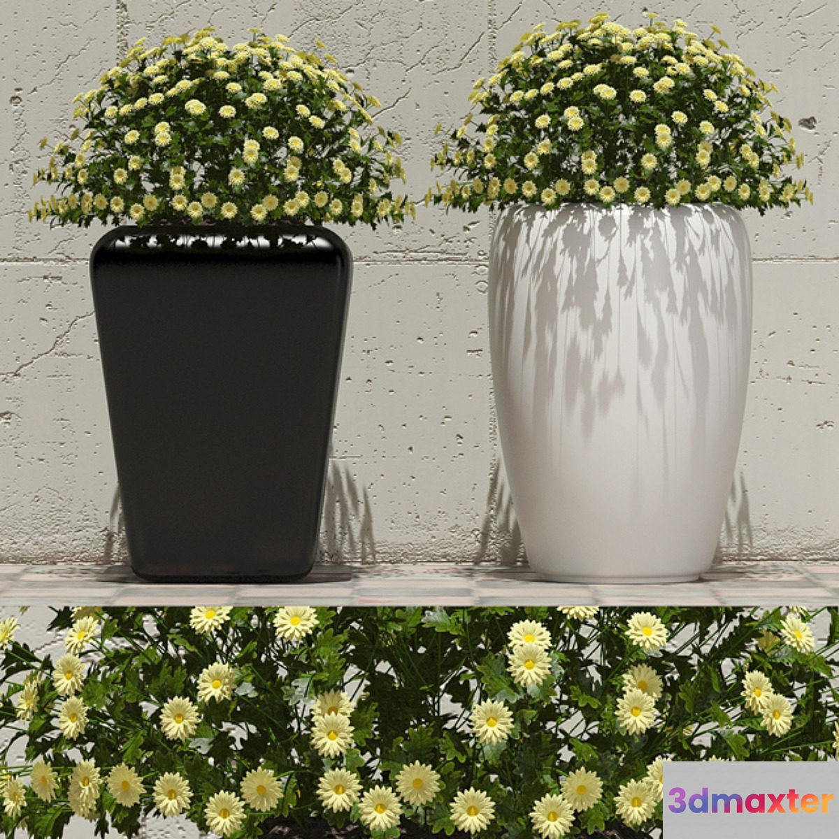 Flowers in pots 1 3D Max
