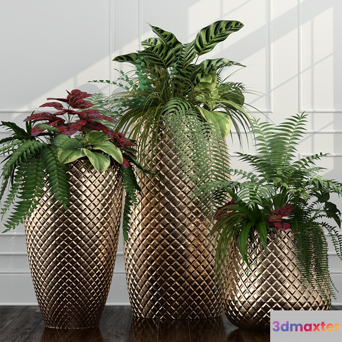 Room plants 11