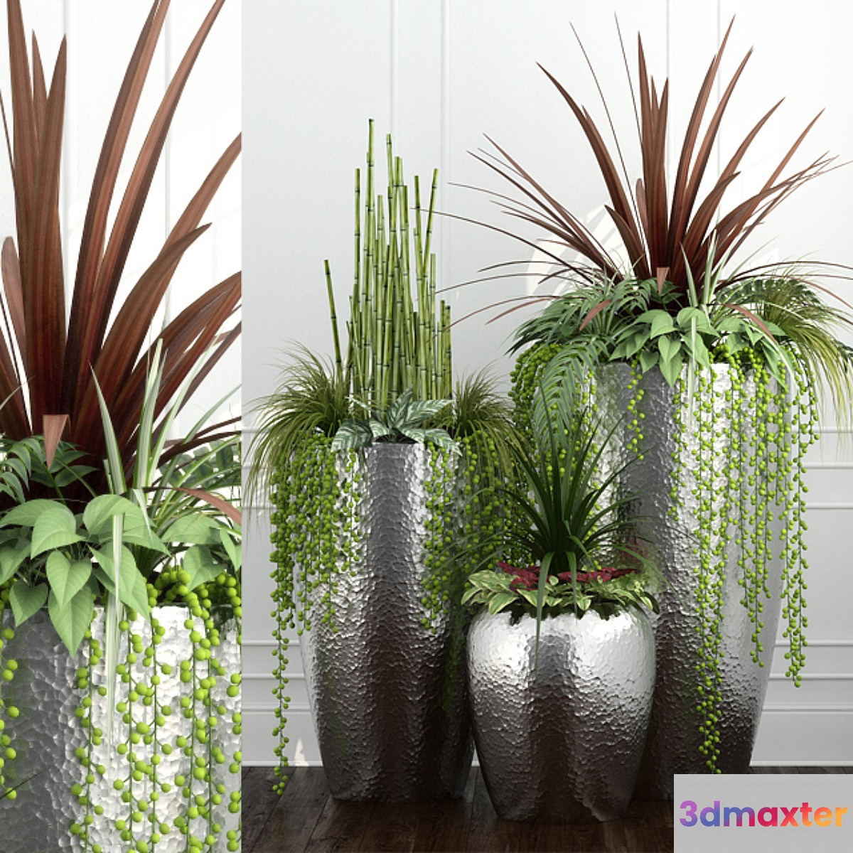 Room plants 12