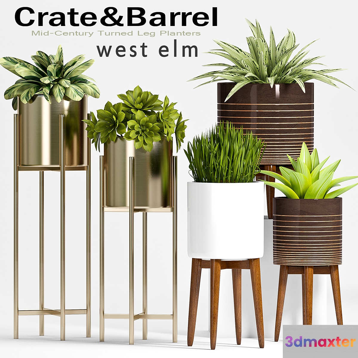 PLANT SET -61