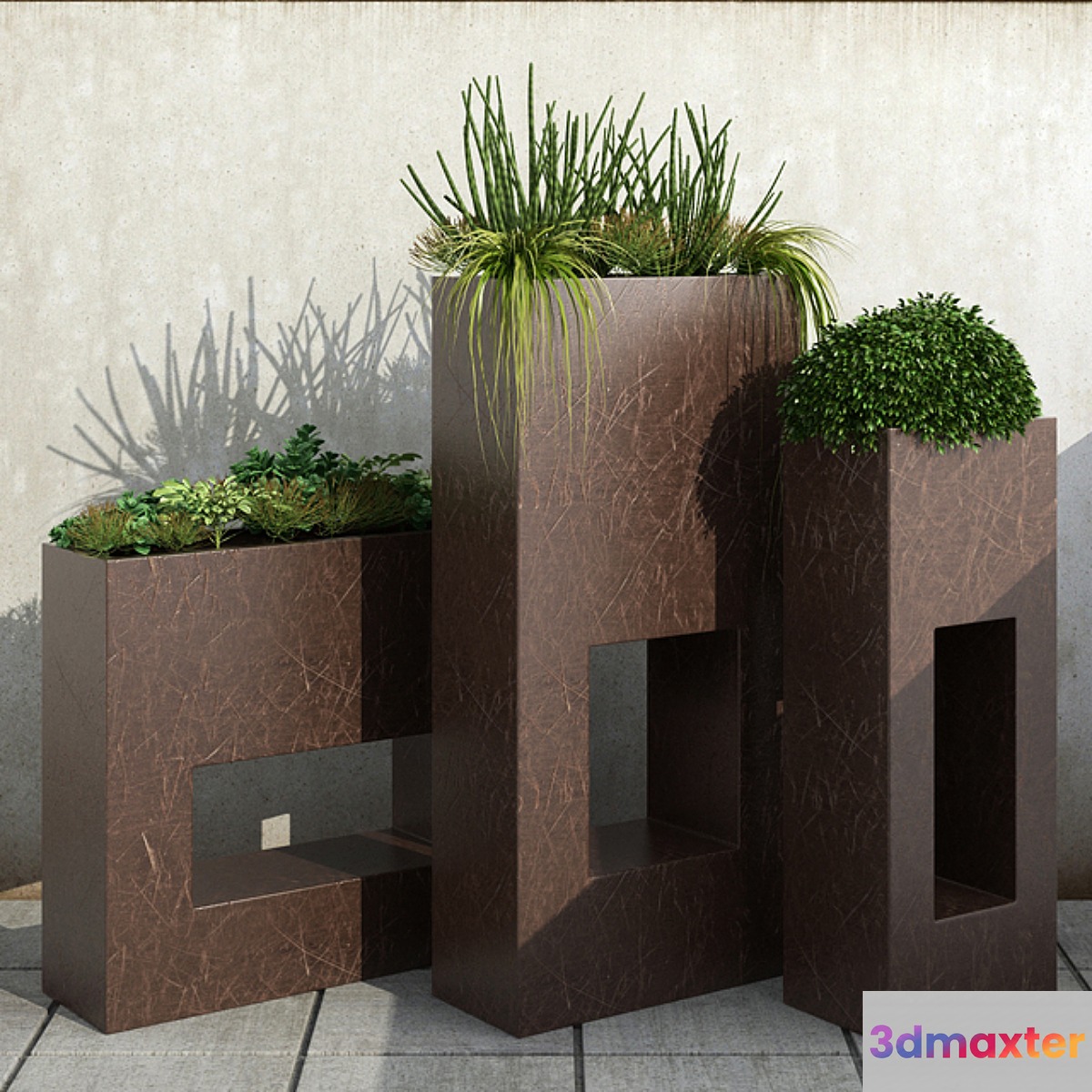 Room plants 13