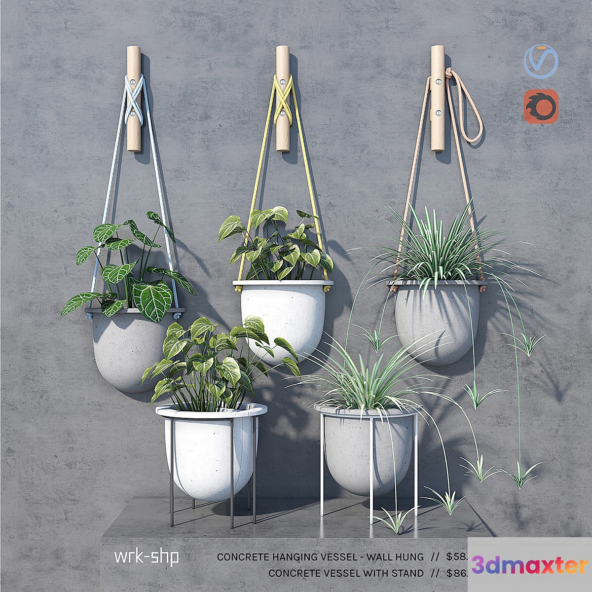 plant set