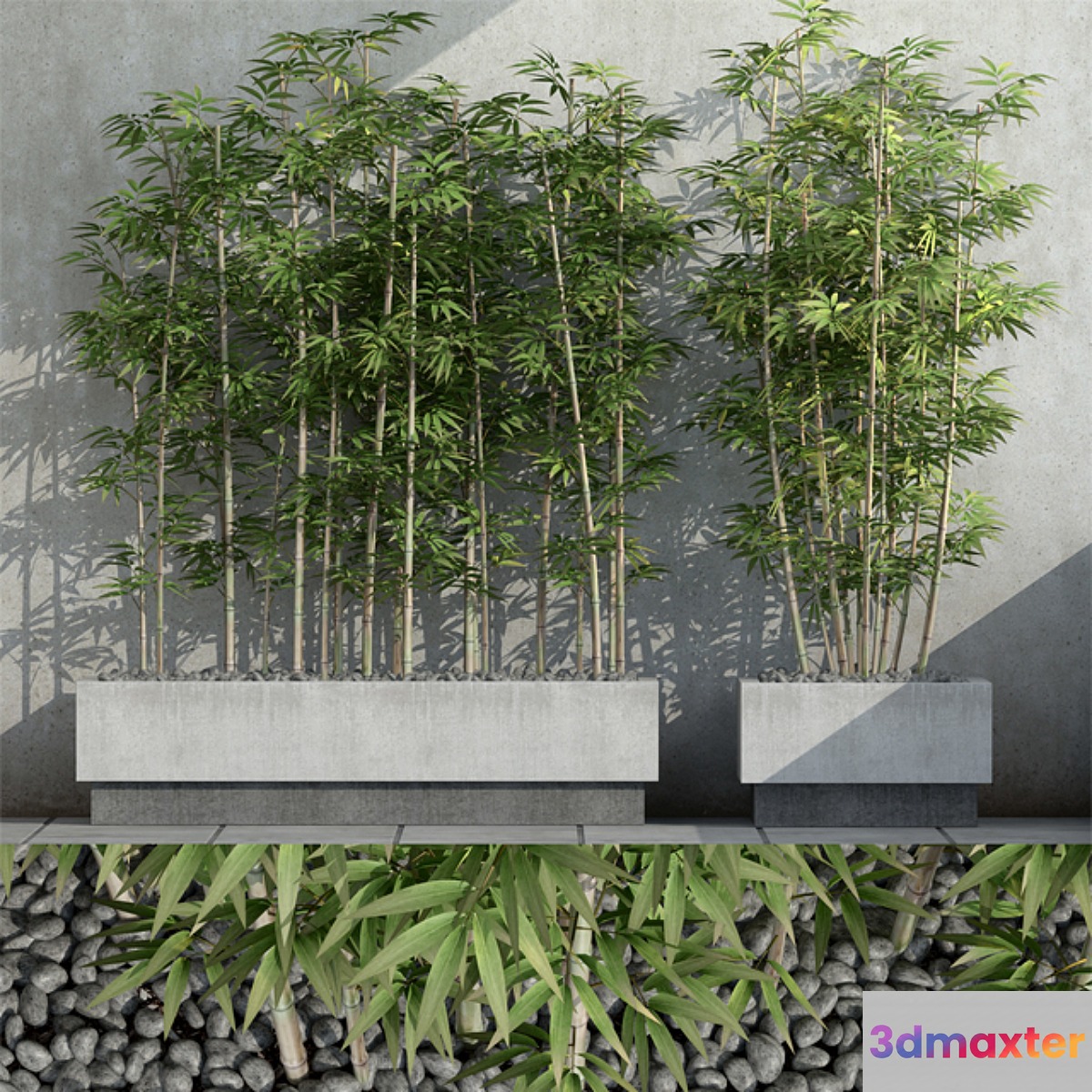Bamboo 3 - No.2