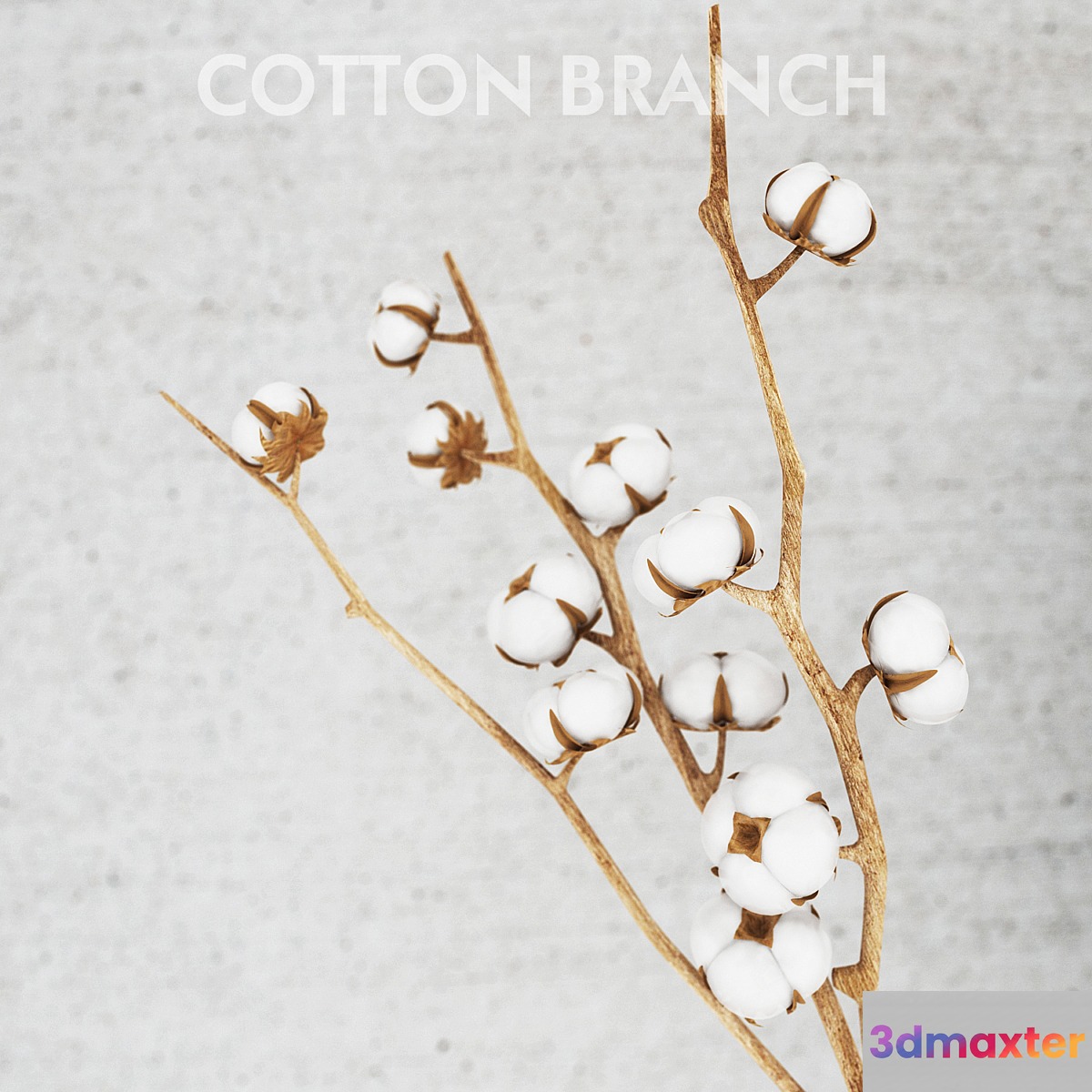 cotton threads 3D Max