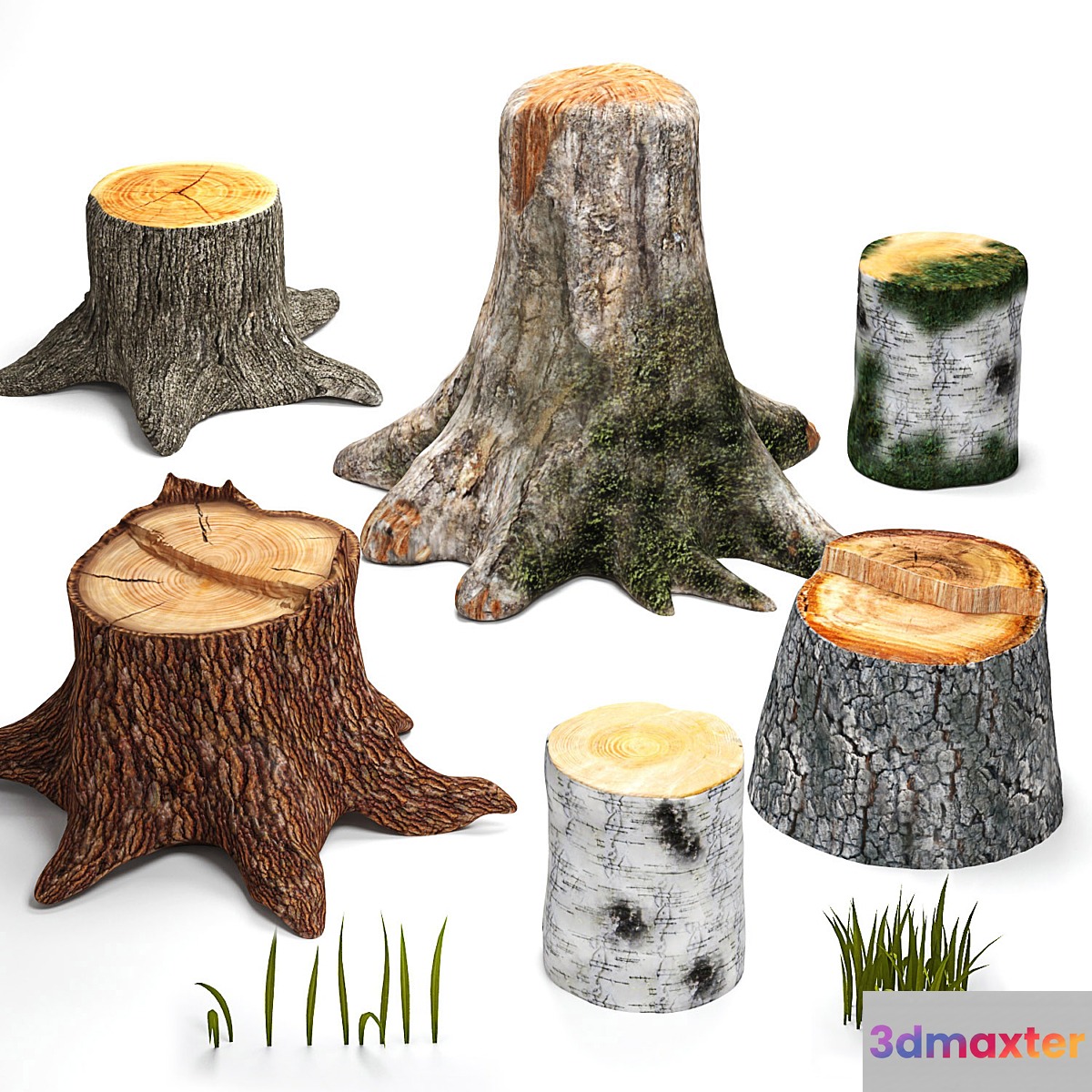 Tree stumps collection & grass 3D Max