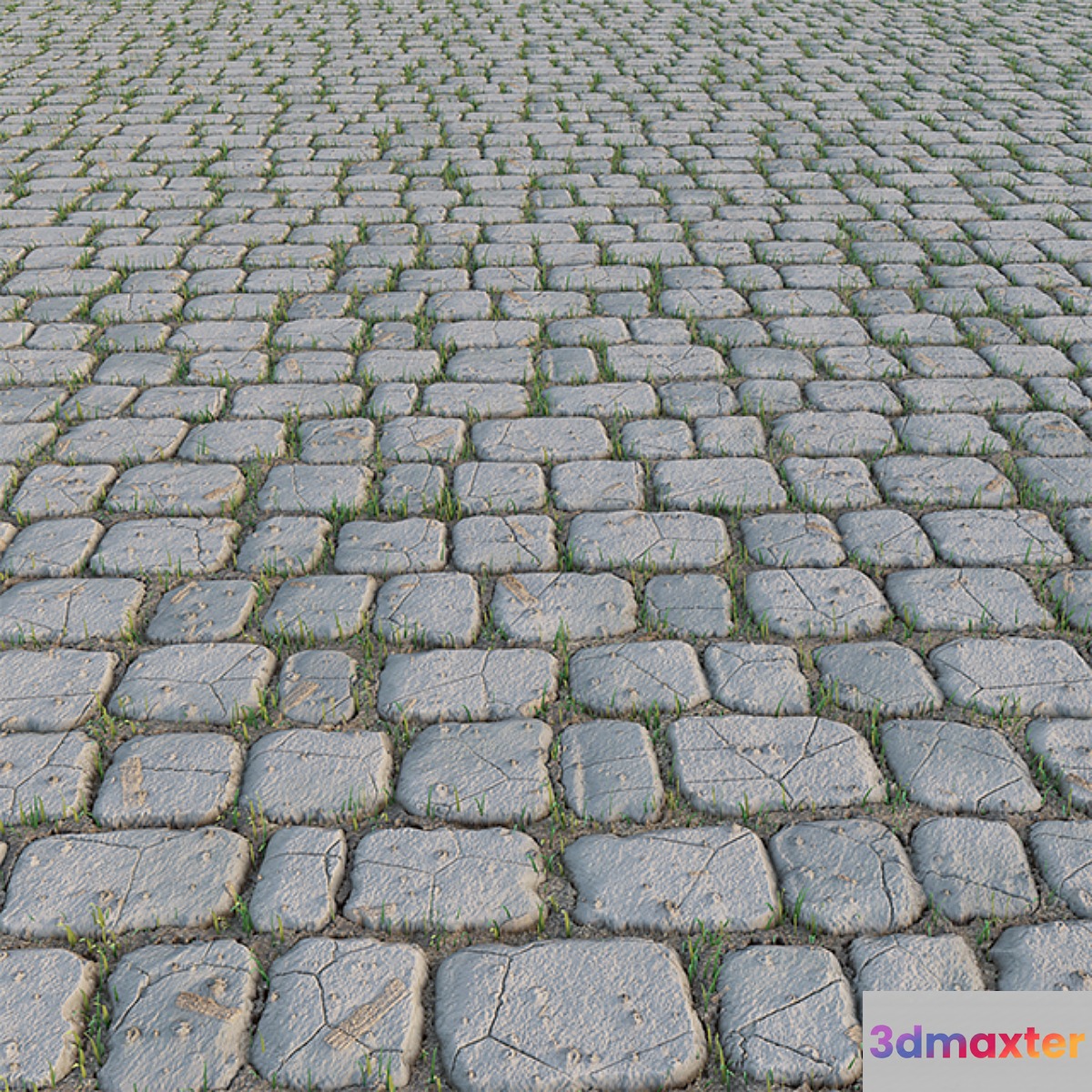 Paving Stone and Grass 3D Max