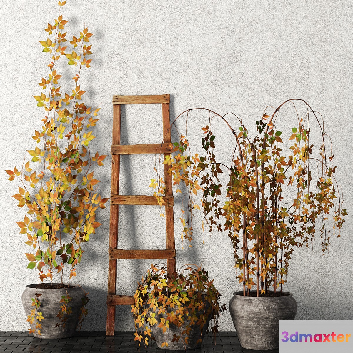 Plants in pots. Autumn leaves hanging plants pot flowerpot outdoor