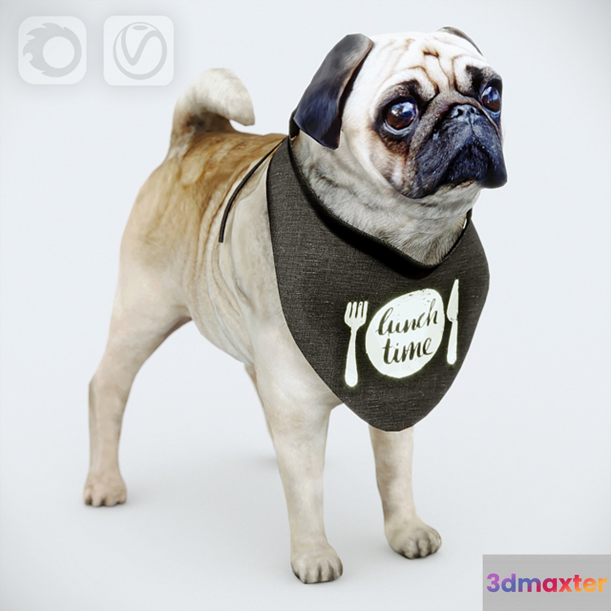 Cute Pug (vray + corona)