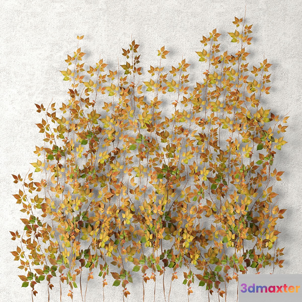 Wall of leaves hanging plants leaf autumn vine leaves 3D Max