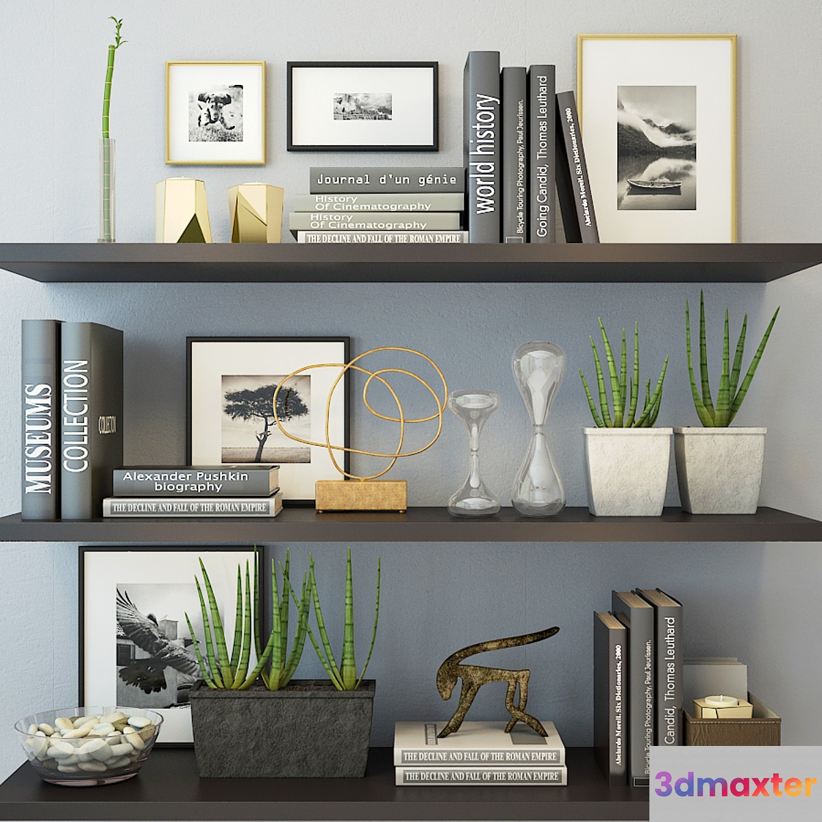 Decor black color 3D Max