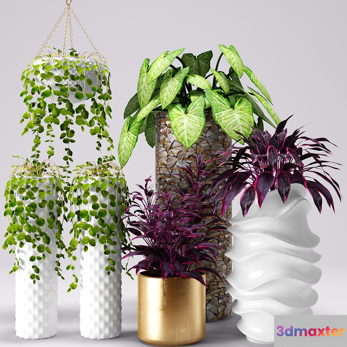 Plants in pots white pot flowerpot flower