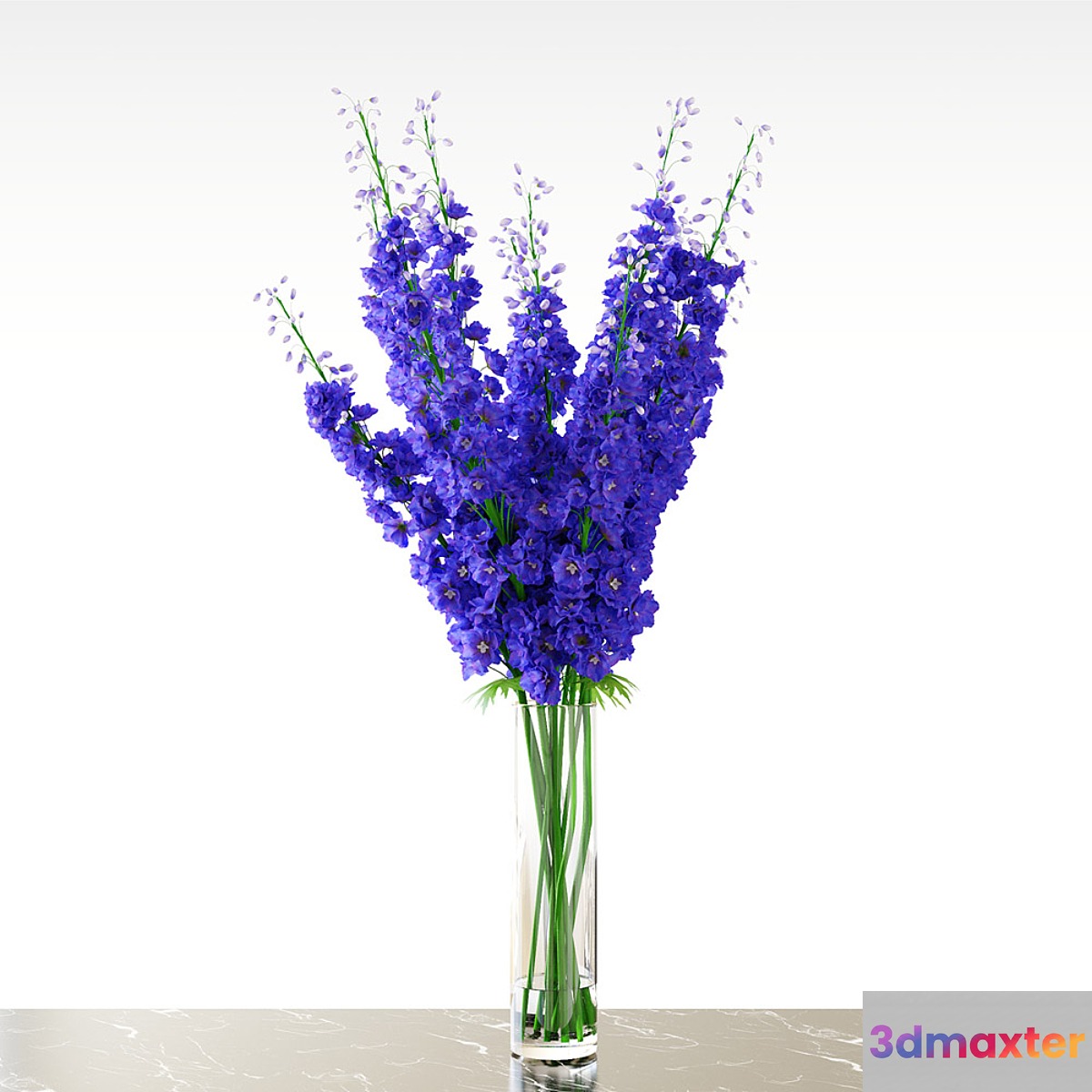 Delphinium  Blue 3D Max
