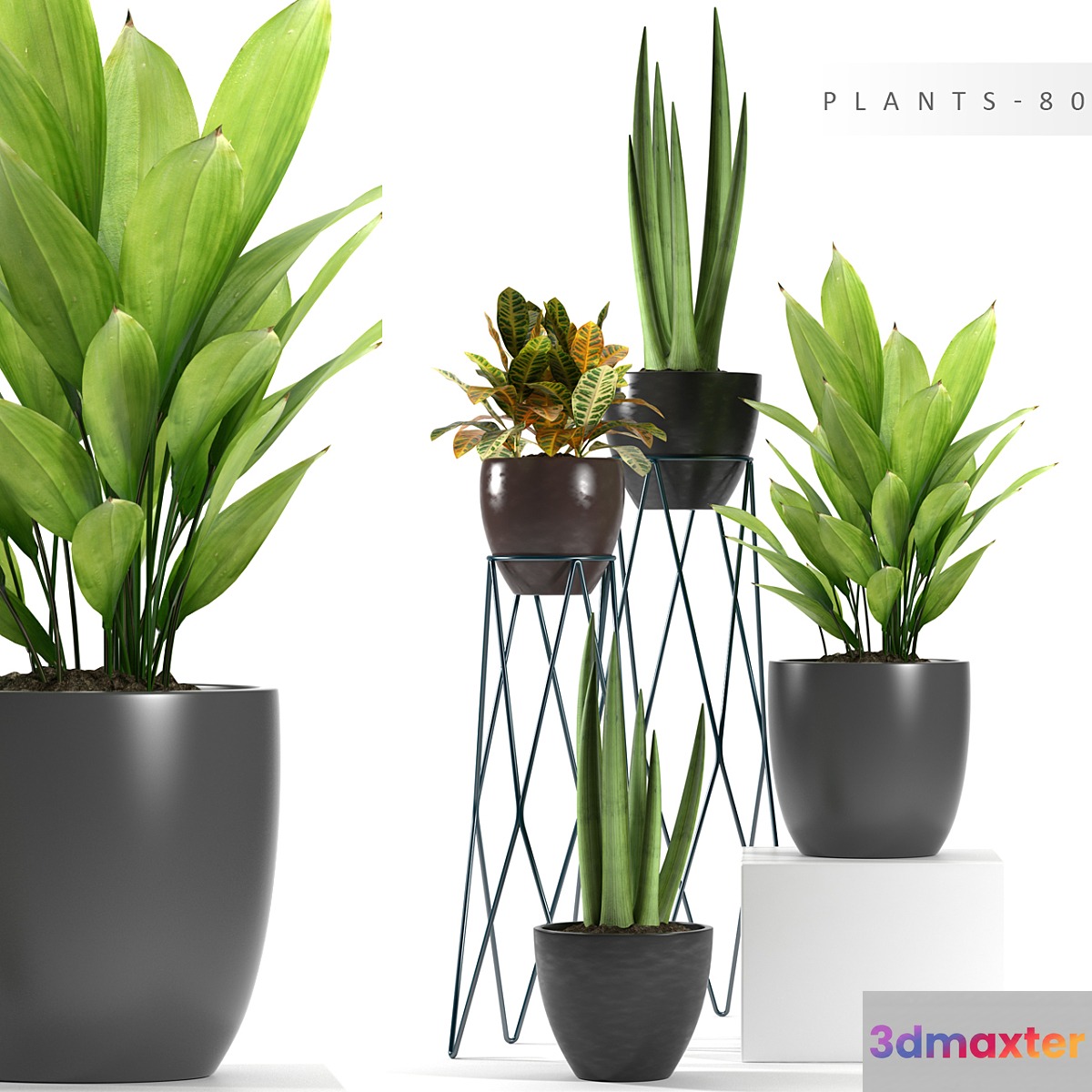 PLANTS 80 - No.2