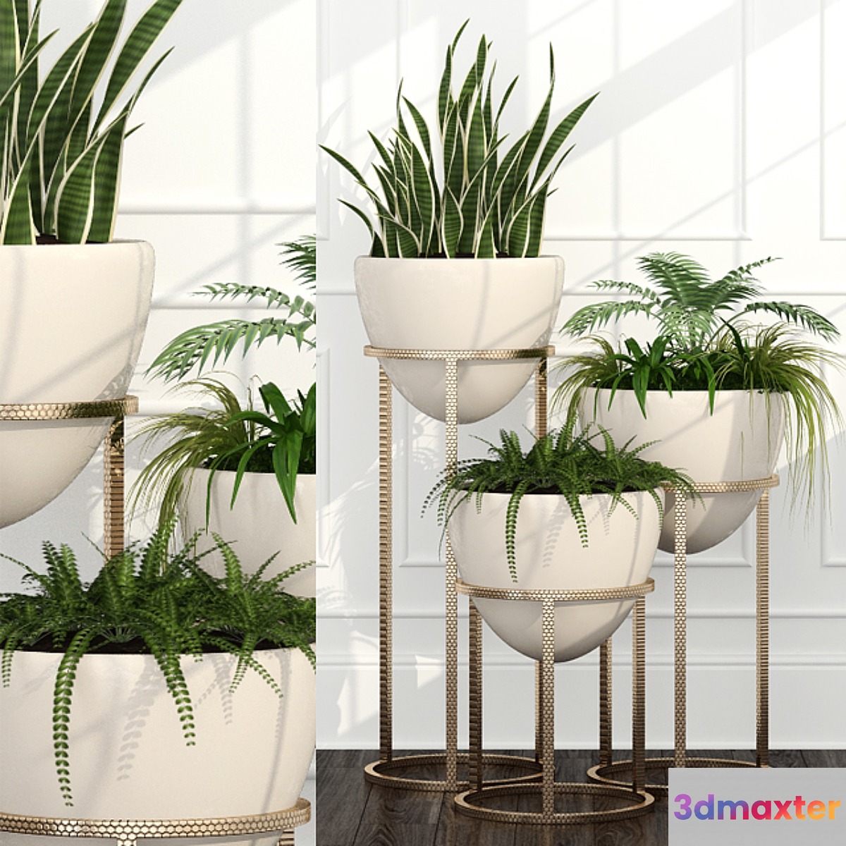 Room plants 14