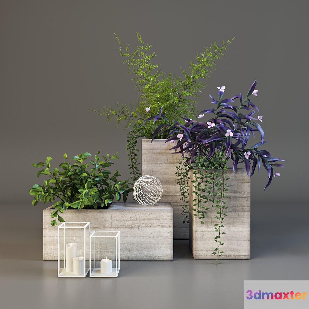 Decor set with plants